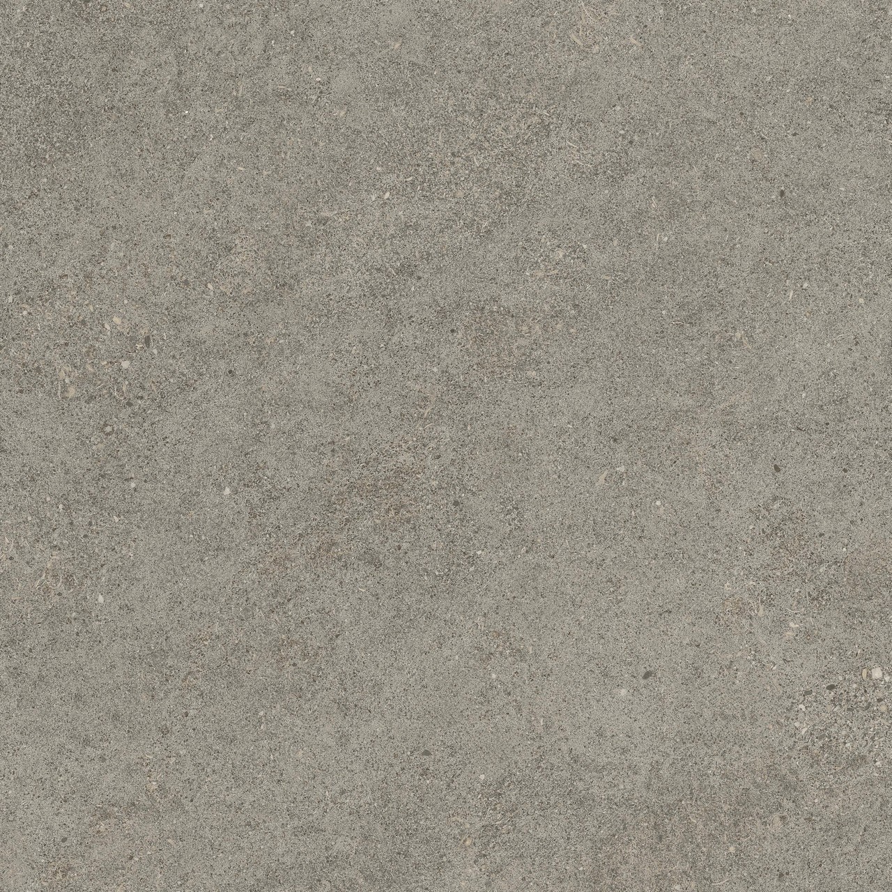 610010005836 Forte dei Marmi Rock Lunar Grey Lastra 20mm 60x60 Atlas Concorde Russia