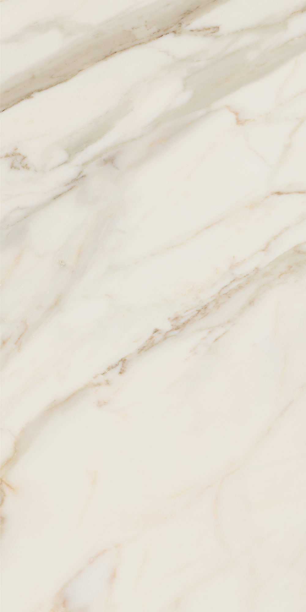 AGB4 Golden White Luc 60x120 Caesar