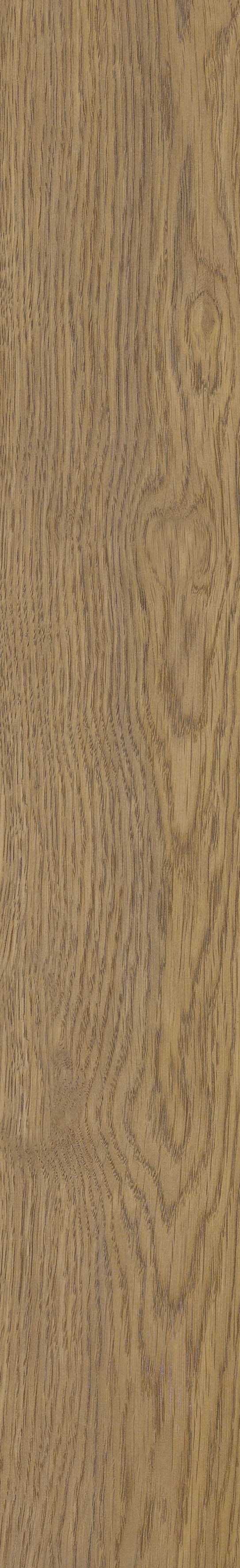 SGR51 Velaris Honey 9.2x60 Stargres фото 6