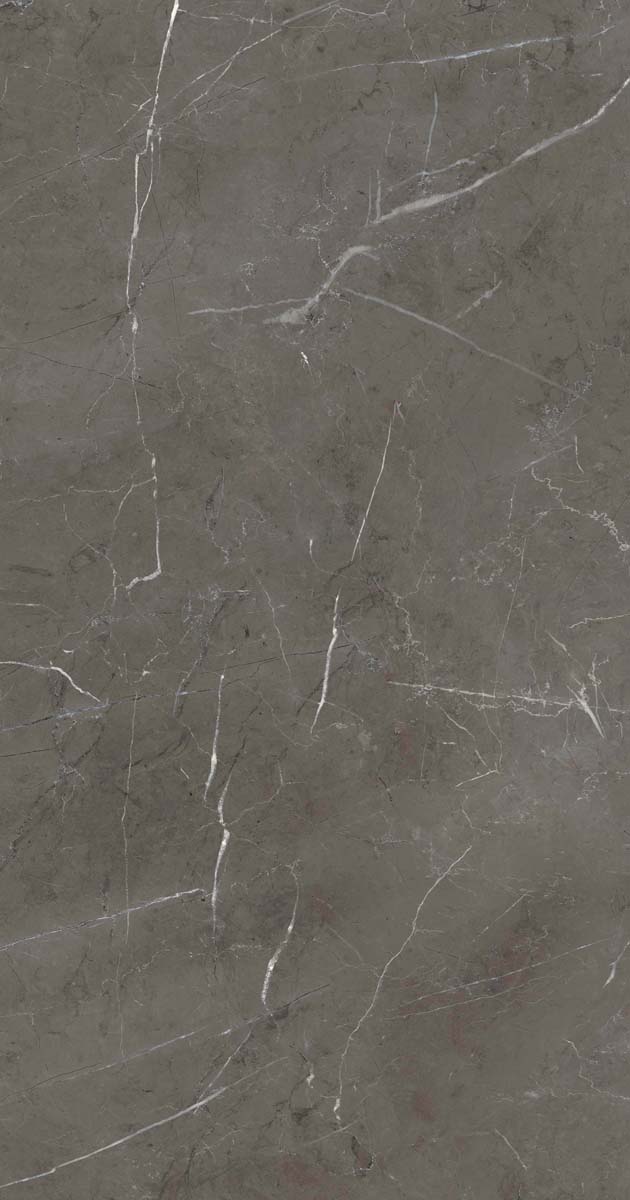 PF60006313 Stone Grey Lux R 60x120 ABK фото 12