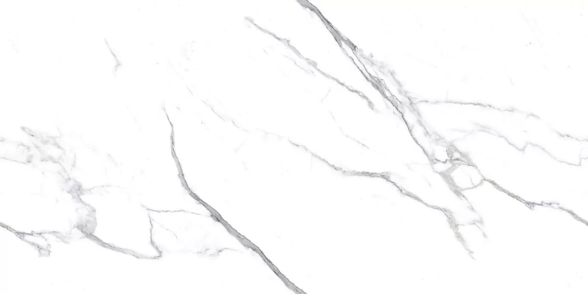 Platinum White Glossy 60x120 Art Ceramic