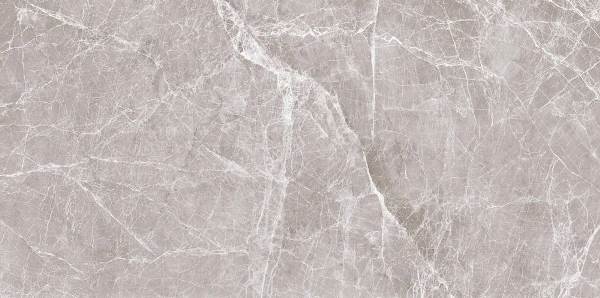 D1265885N Claros Grey light 60x120 Gani
