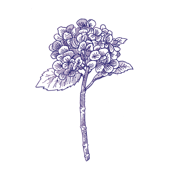 4101303 Stories Eddie Matte 10x10 41ZERO42 фото 10