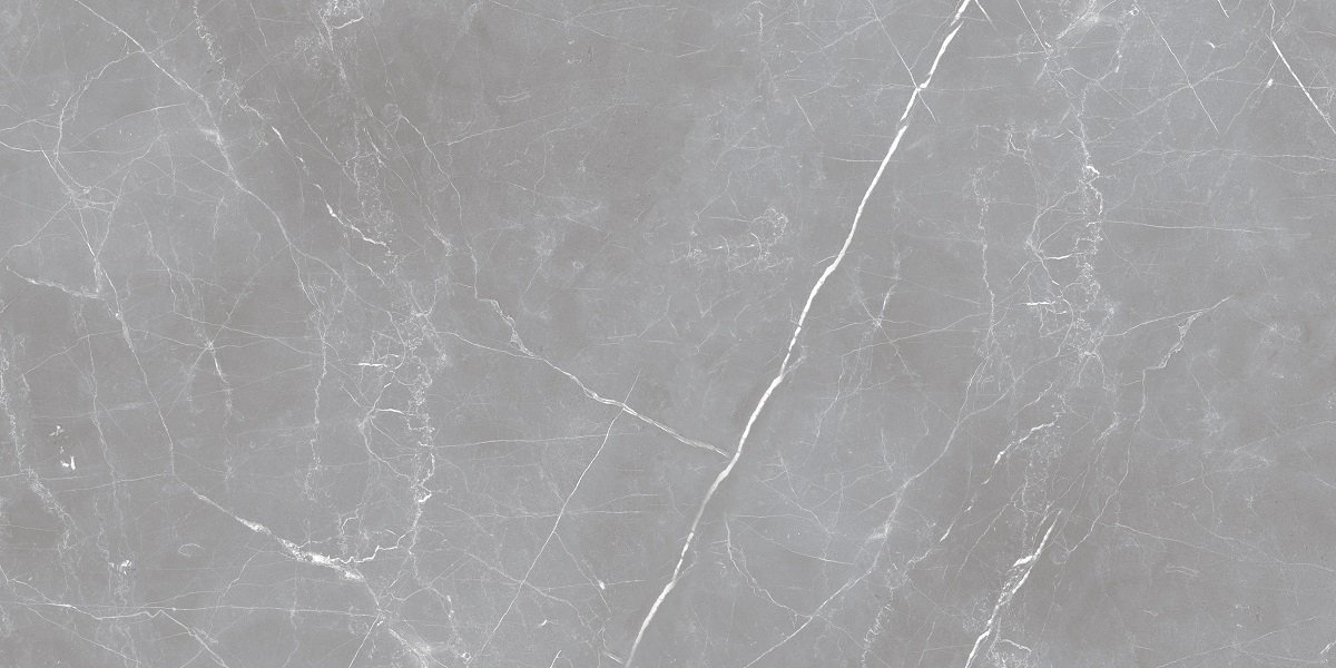 Arion Gray Dark 61х121 Ocean-Ceramic
