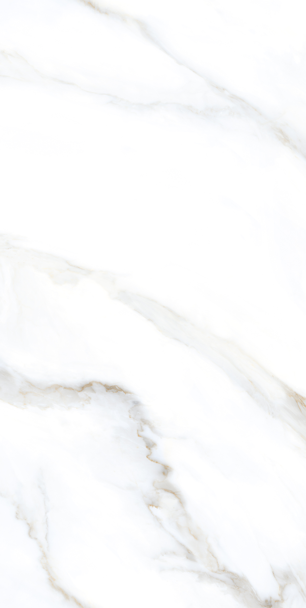 Clear White Grit Granula 60x120 Realistik