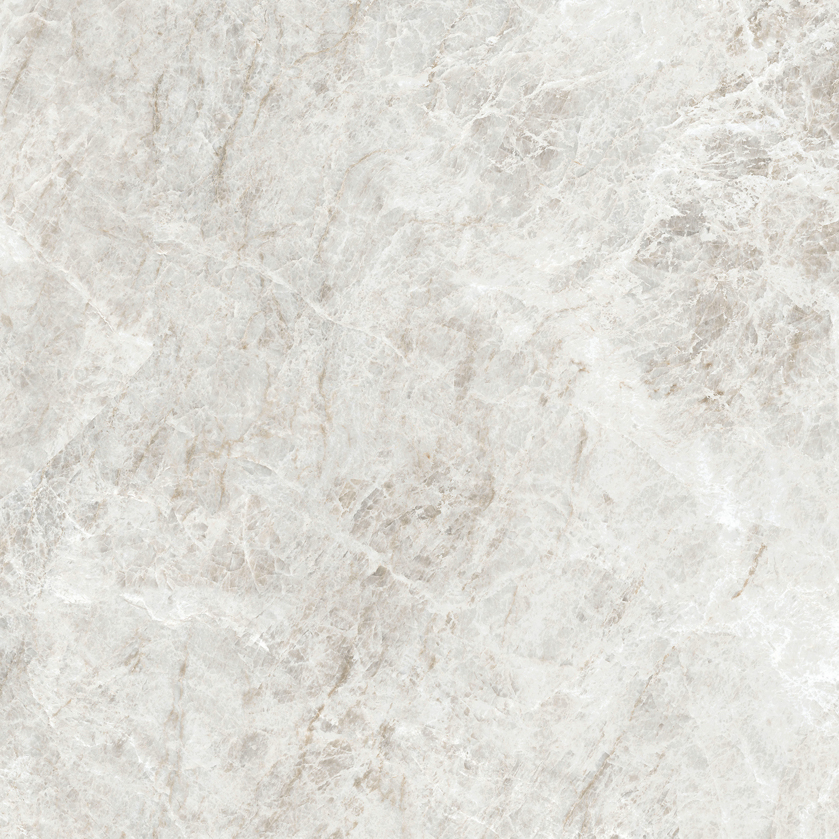 784549 Iconic Life Rice Yamuna Glossy 60x60 Cerim фото 9