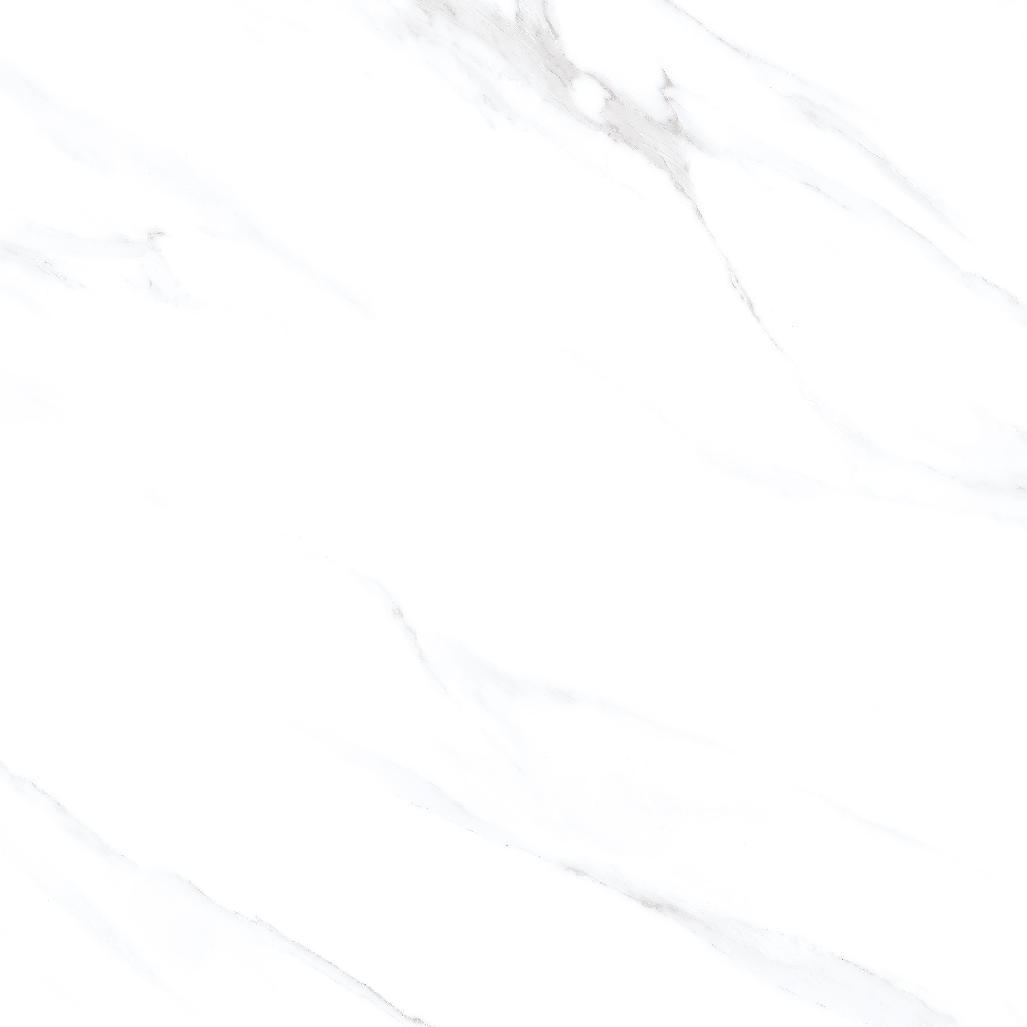 Statuario Venezia Glossy 60x60 Modern Tile