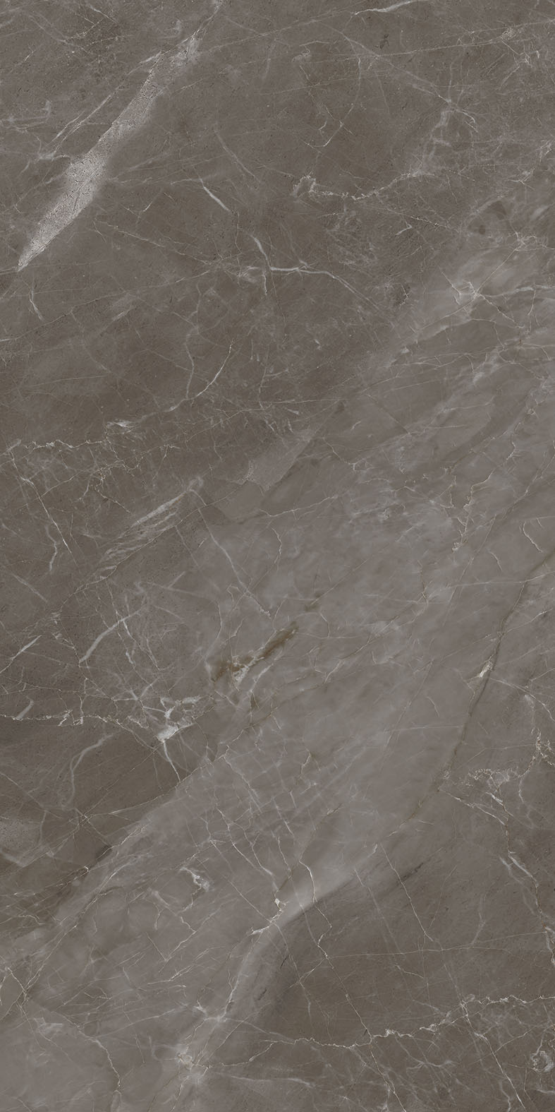 Craft French Grey Carving 60x120 BELLEZA фото 2