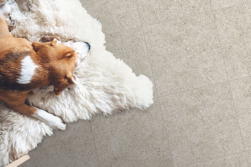 Deimos Global Tile