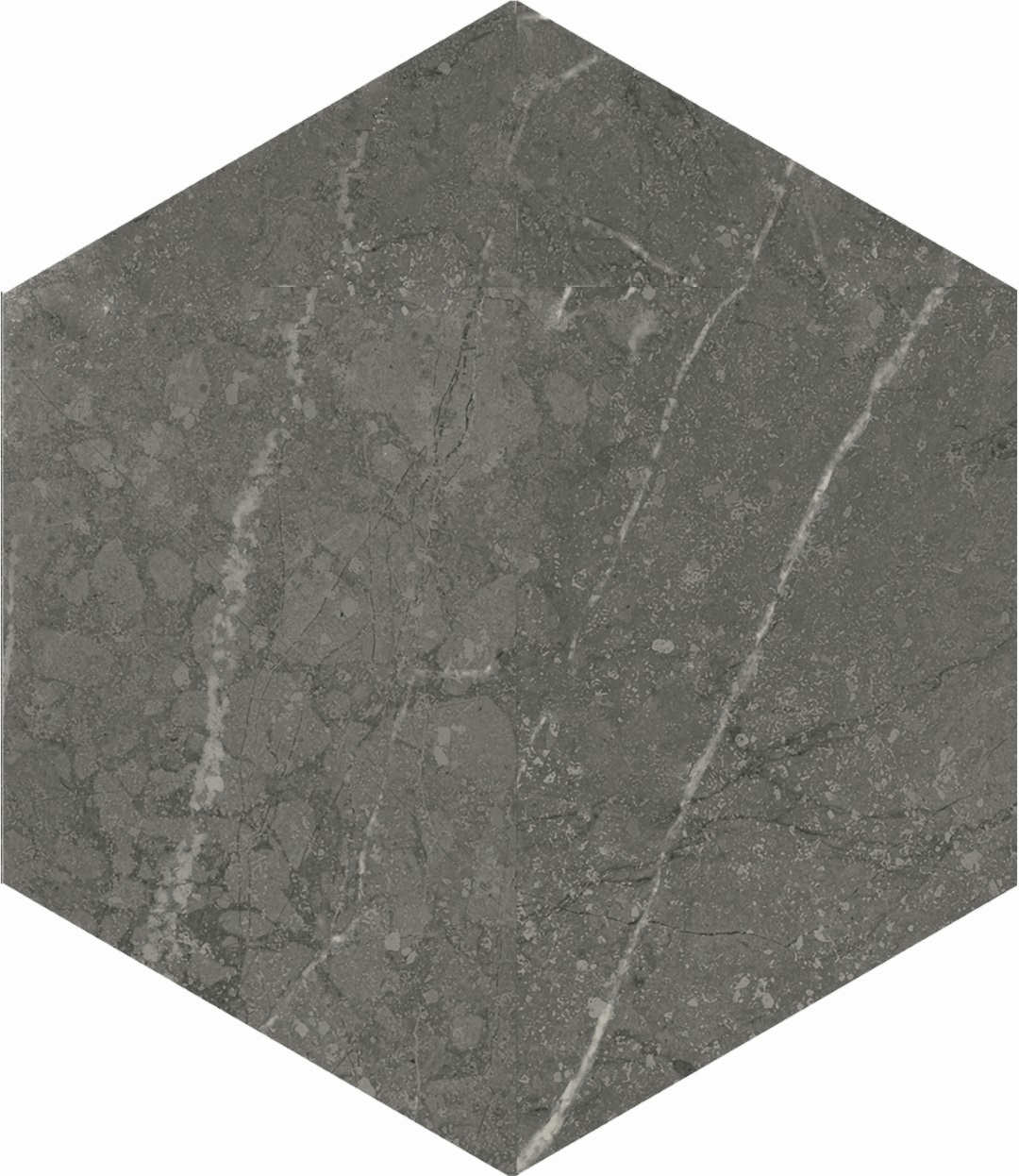 121971 Pietra Graphite 14x16 DNA Tiles фото 4