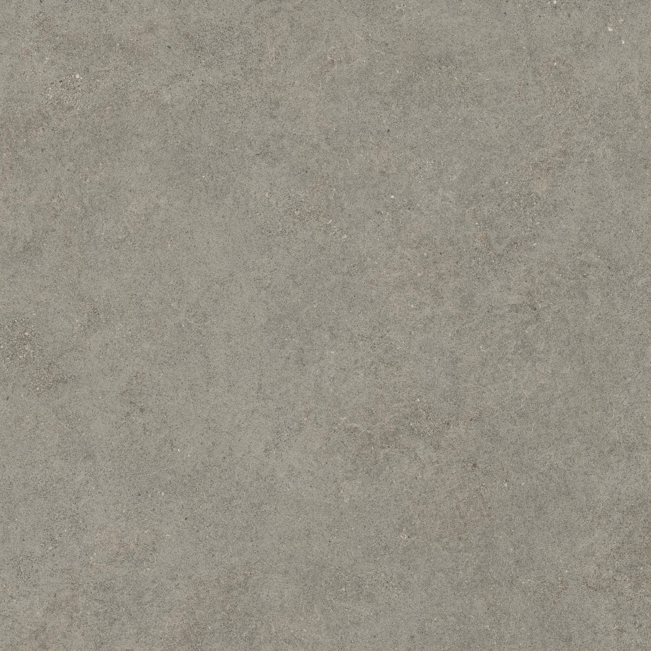 600010002429 Forte dei Marmi Rock Lunar Grey Matt Rett 120x120 Atlas Concorde Russia