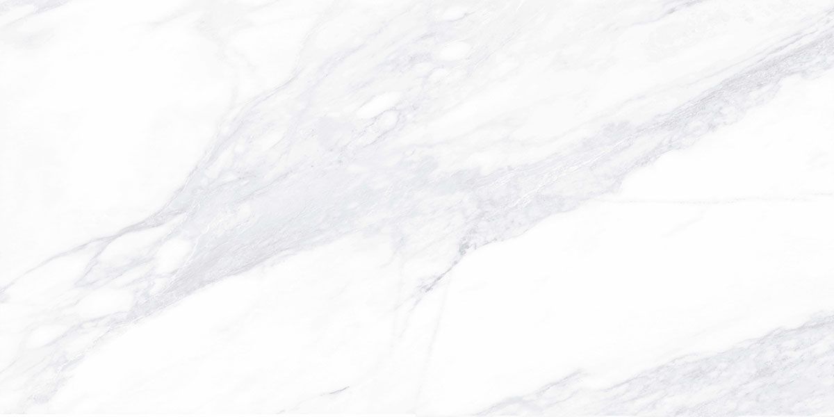 G281 Payer Elegant MR 60x120 Гранитея фото 2