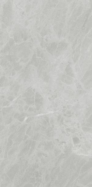 P612498 Gris De Savoie Soft 60x120 Ariostea