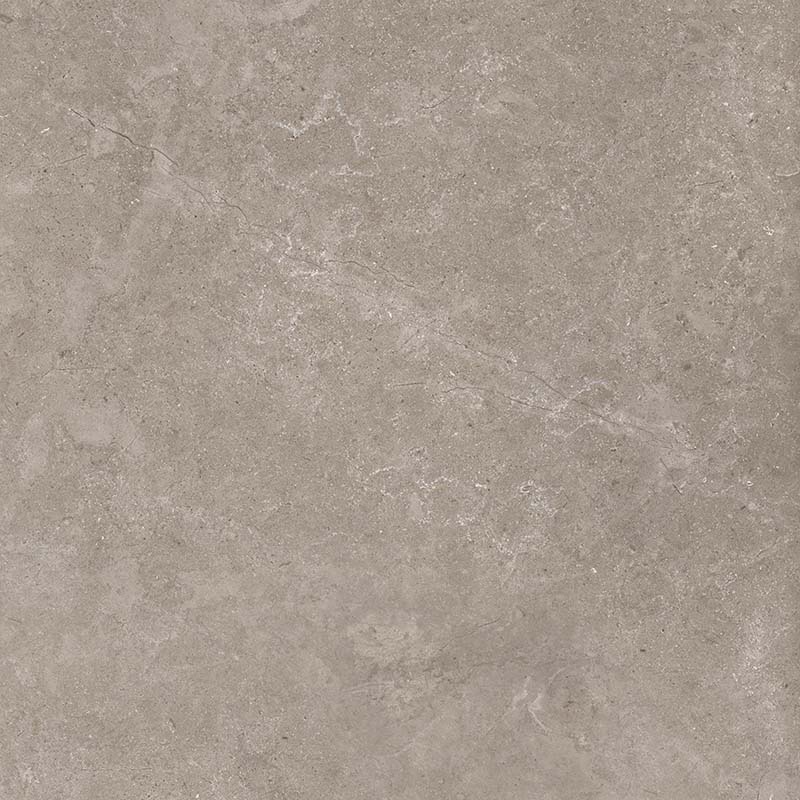 8163 Shell DG 60х60 Creto