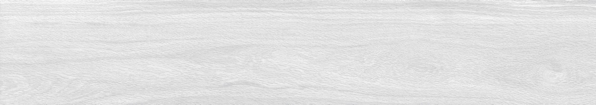 ENWD1024MT20120 Foresta Bianco Matt 120x20x0.9 Ennface