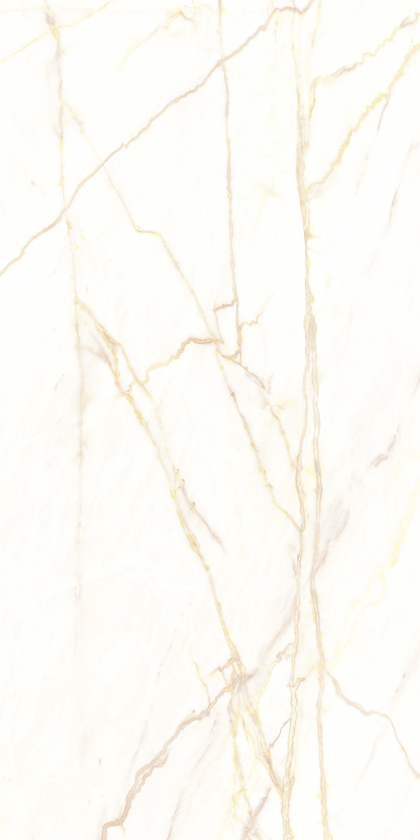 769415 Chimera Empatia Bianco Glossy Ret 6mm 120x240 Cedit