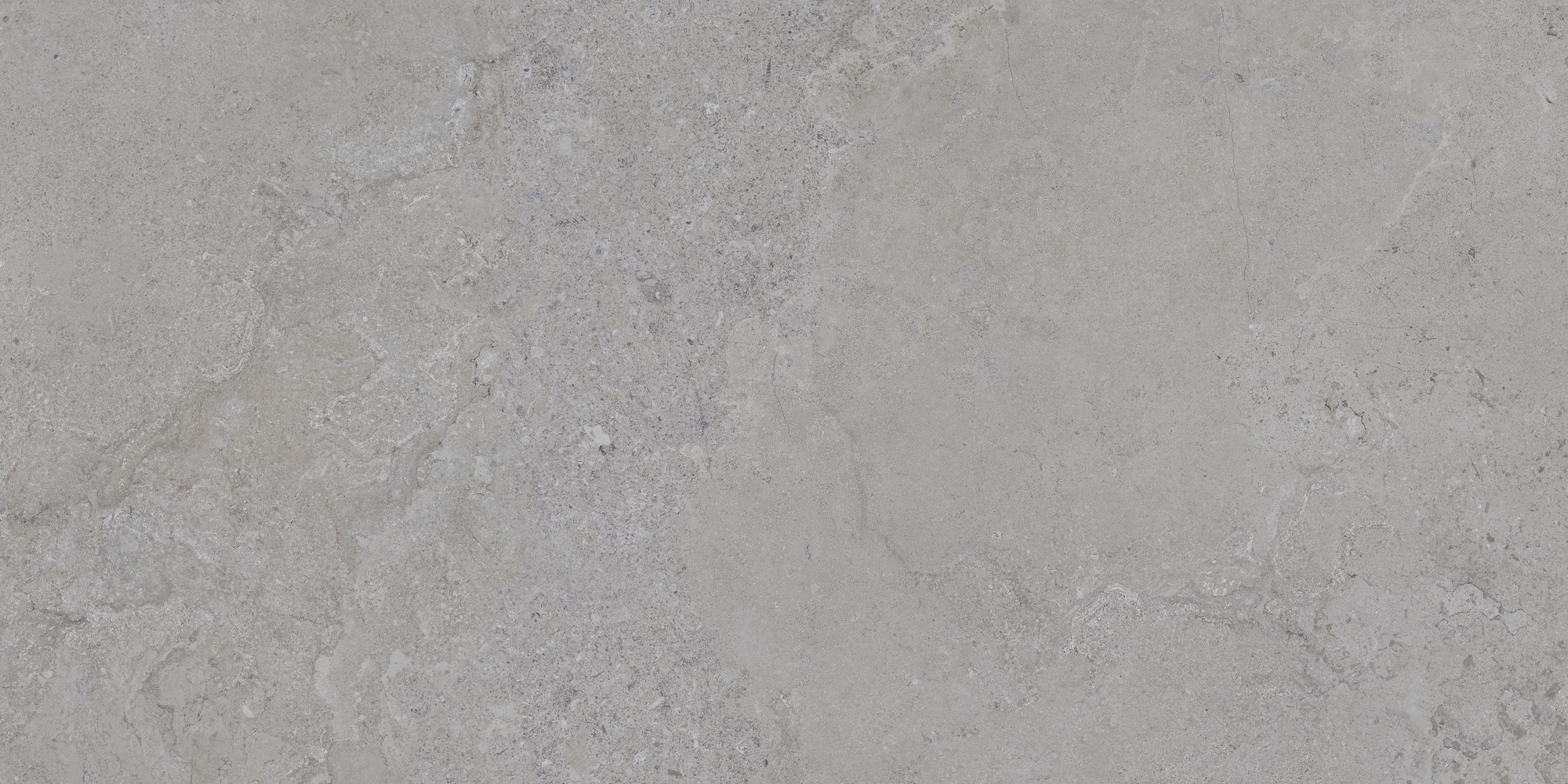 Dorset Silver Rec. 60x120 TAU Ceramica фото 6