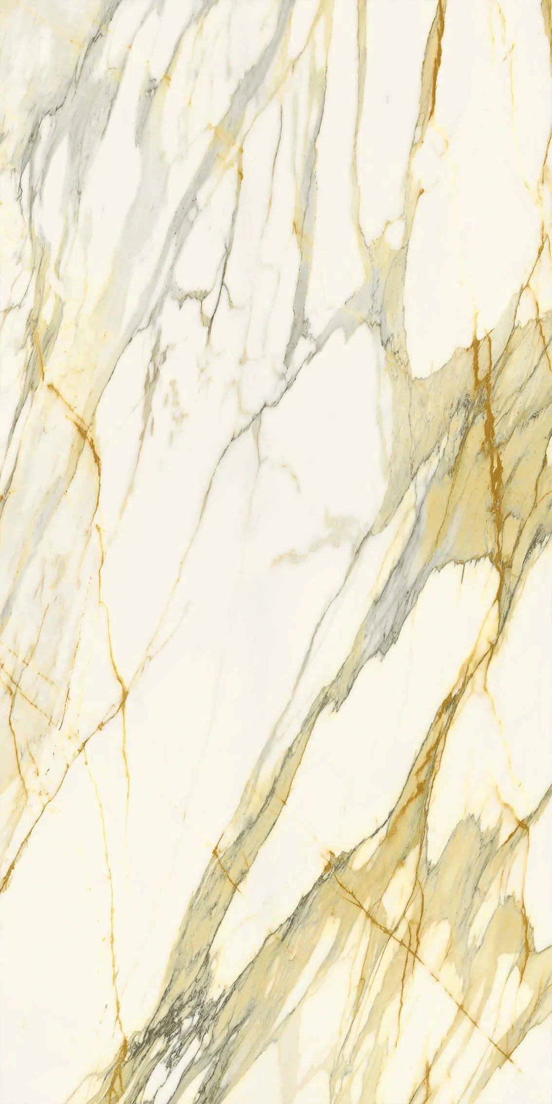 LAMFFM0182_IT I Naturali Calacatta Mediceo Lucidato B.M. Face B 1620x3240x12.5 Laminam