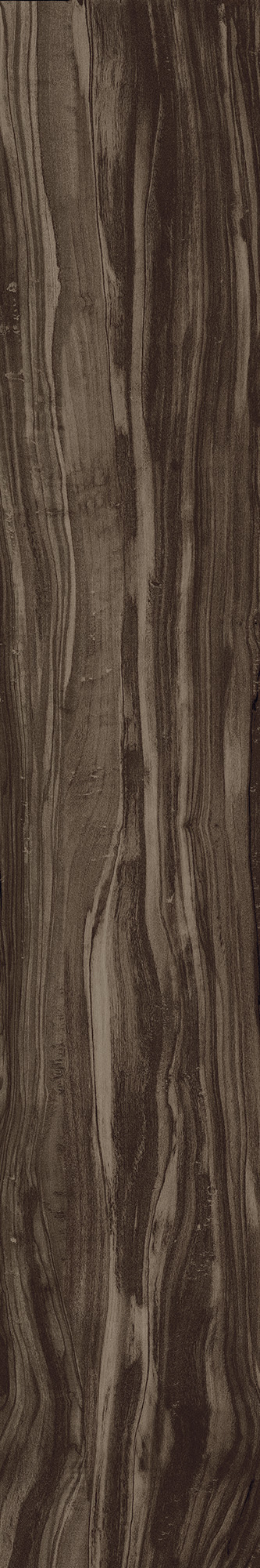 CW-CR01-B Pearsian Wood Charcoal Carving 20x120 Creanza