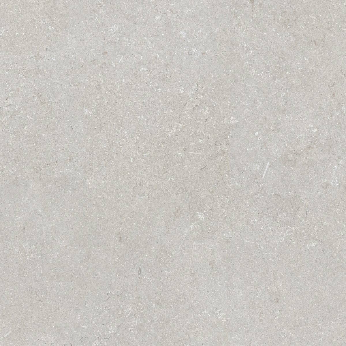 005847 Shellstone Bianco 120x120 Dado Ceramica