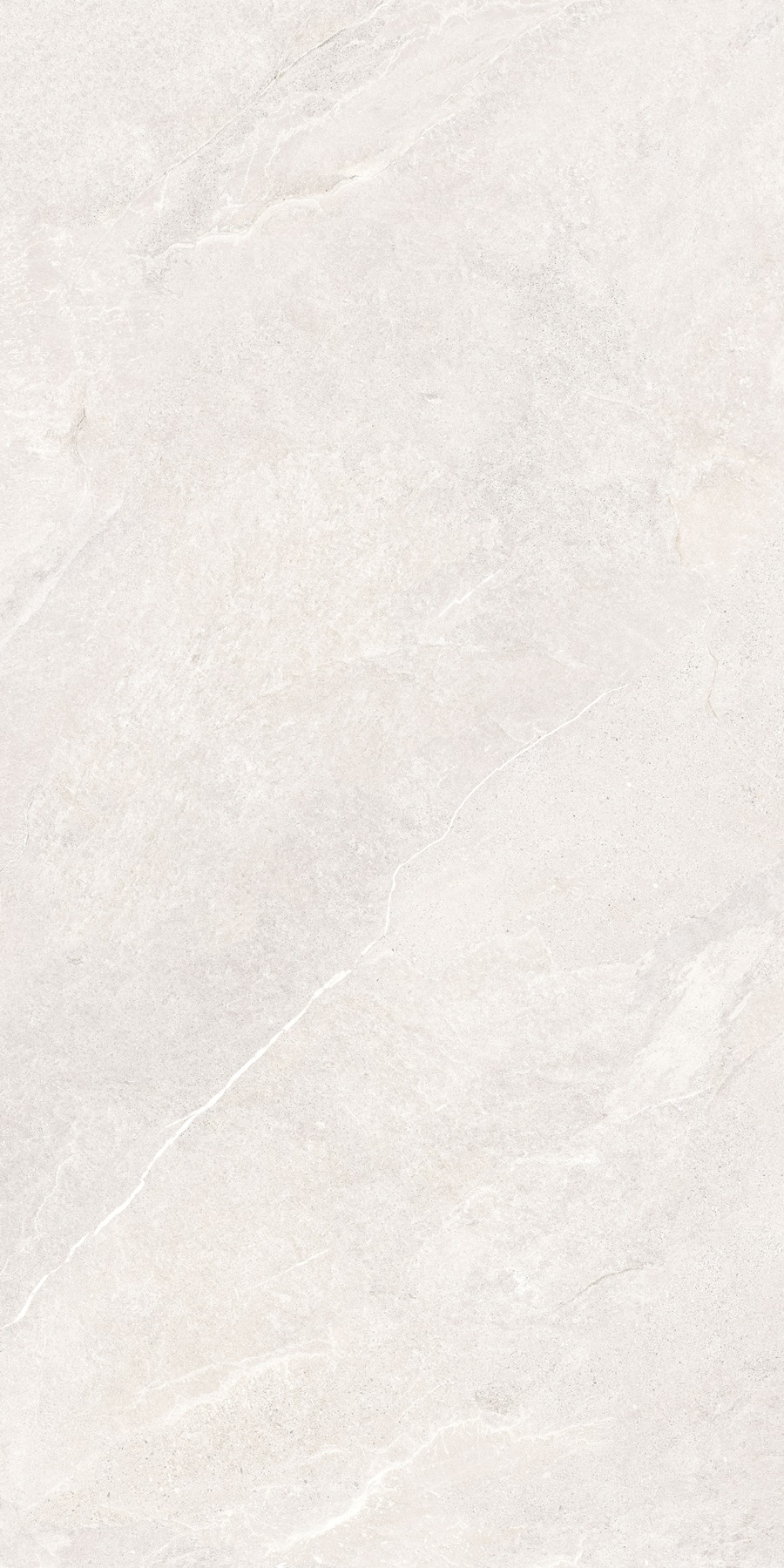 K948672R0001VTER ArdeStone Белый Матовый R10A Ректификат 60х120 Vitra