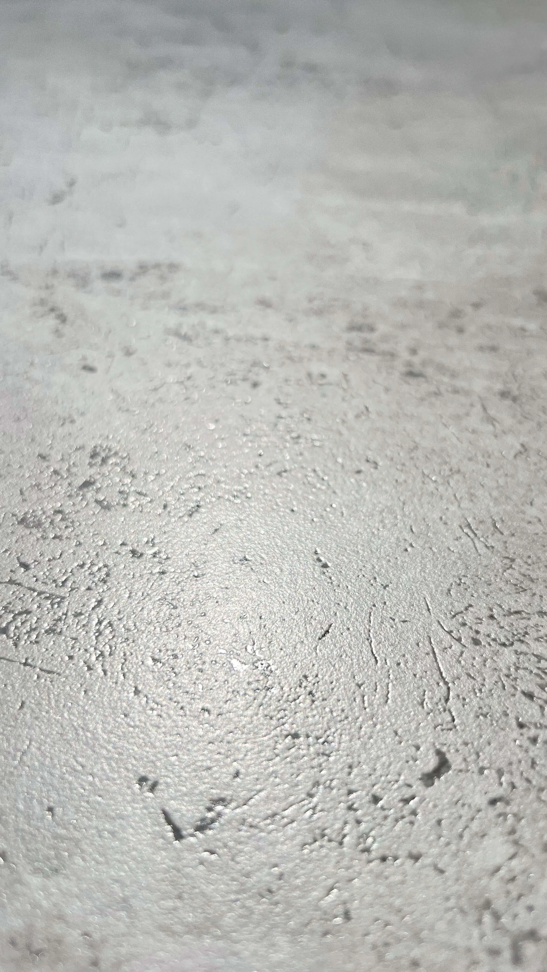 Grizli Grey Endless Velvet 60x120 Realistik фото 12