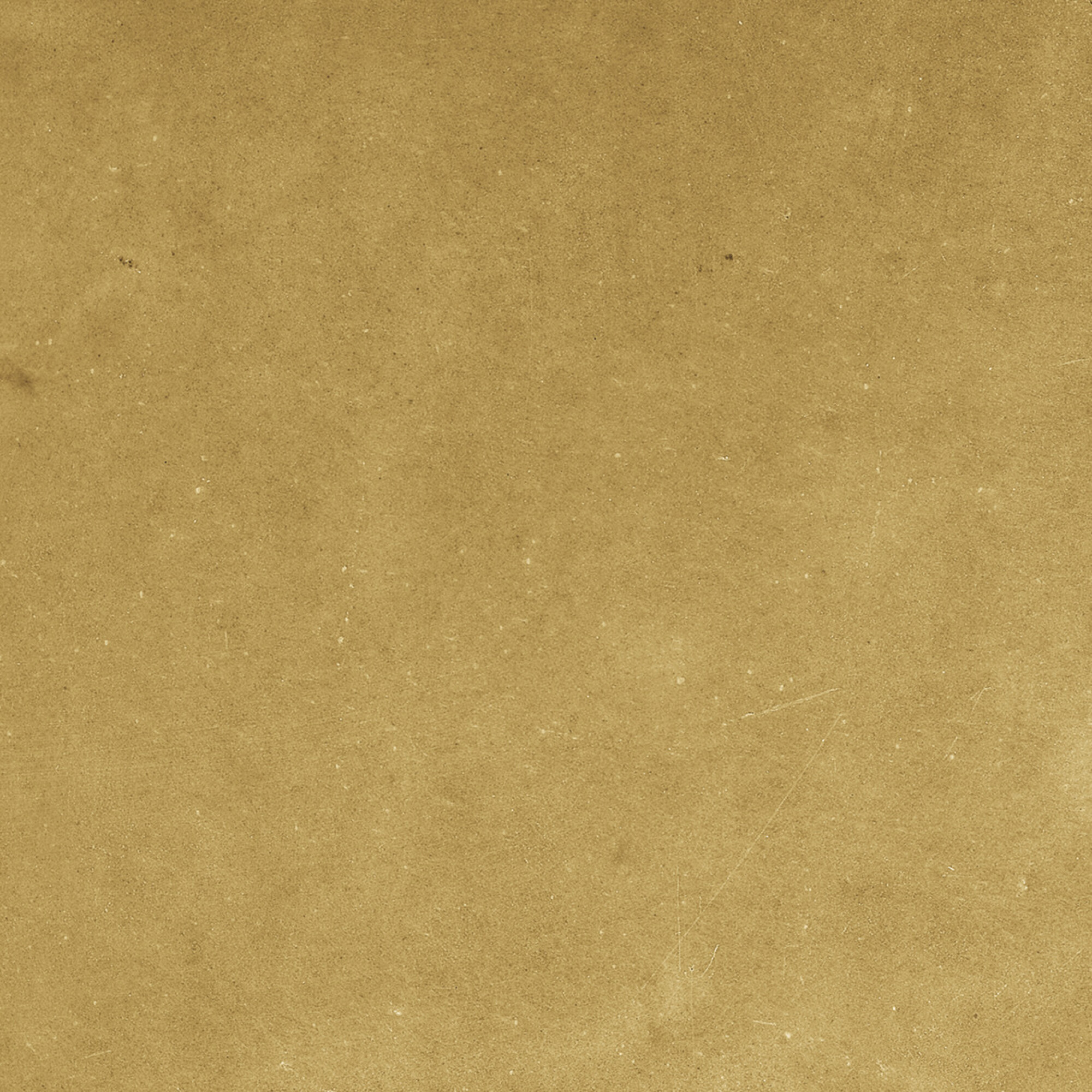 43288 Samira Gold 10x10 Harmony фото 12