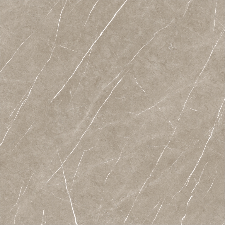 Eternal Taupe Natural 120x120 Baldocer