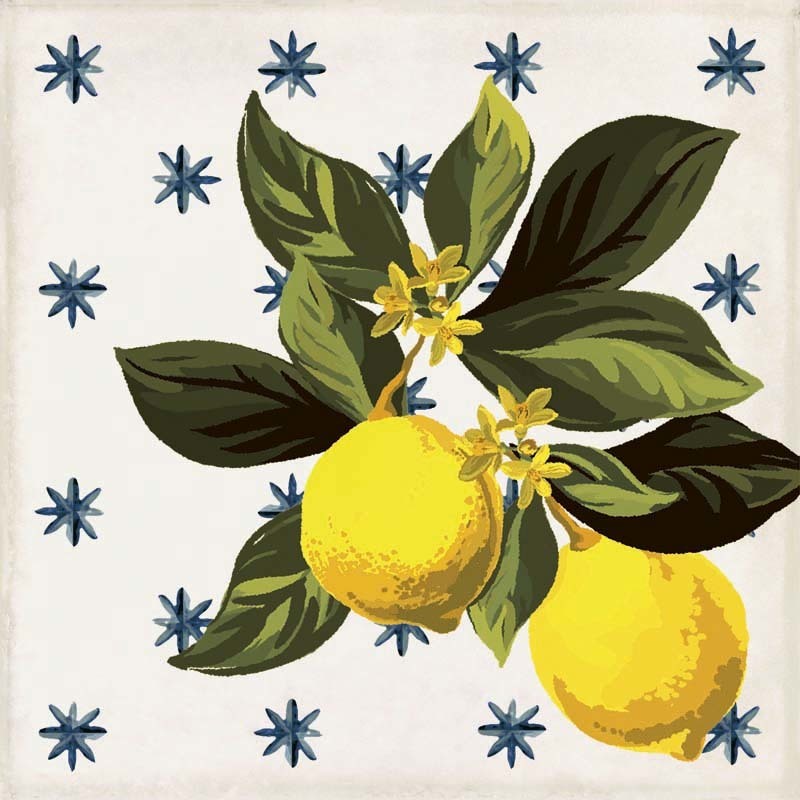 Giardino Bianco Mix Luc 20x20 Sant Agostino