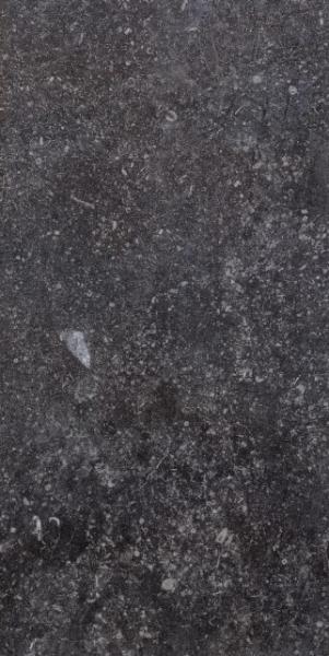 1076236 Ardenne Nero 20х40 CIR