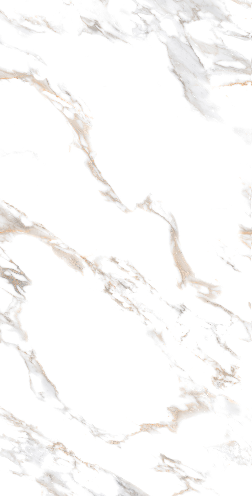CR4019-A Calacatta Gold Carving 60x120 Arcadia Ceramica