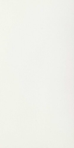 751171 B&W WHITE HIGH-GLOSSY RET 6mm 160X320 Floor Gres