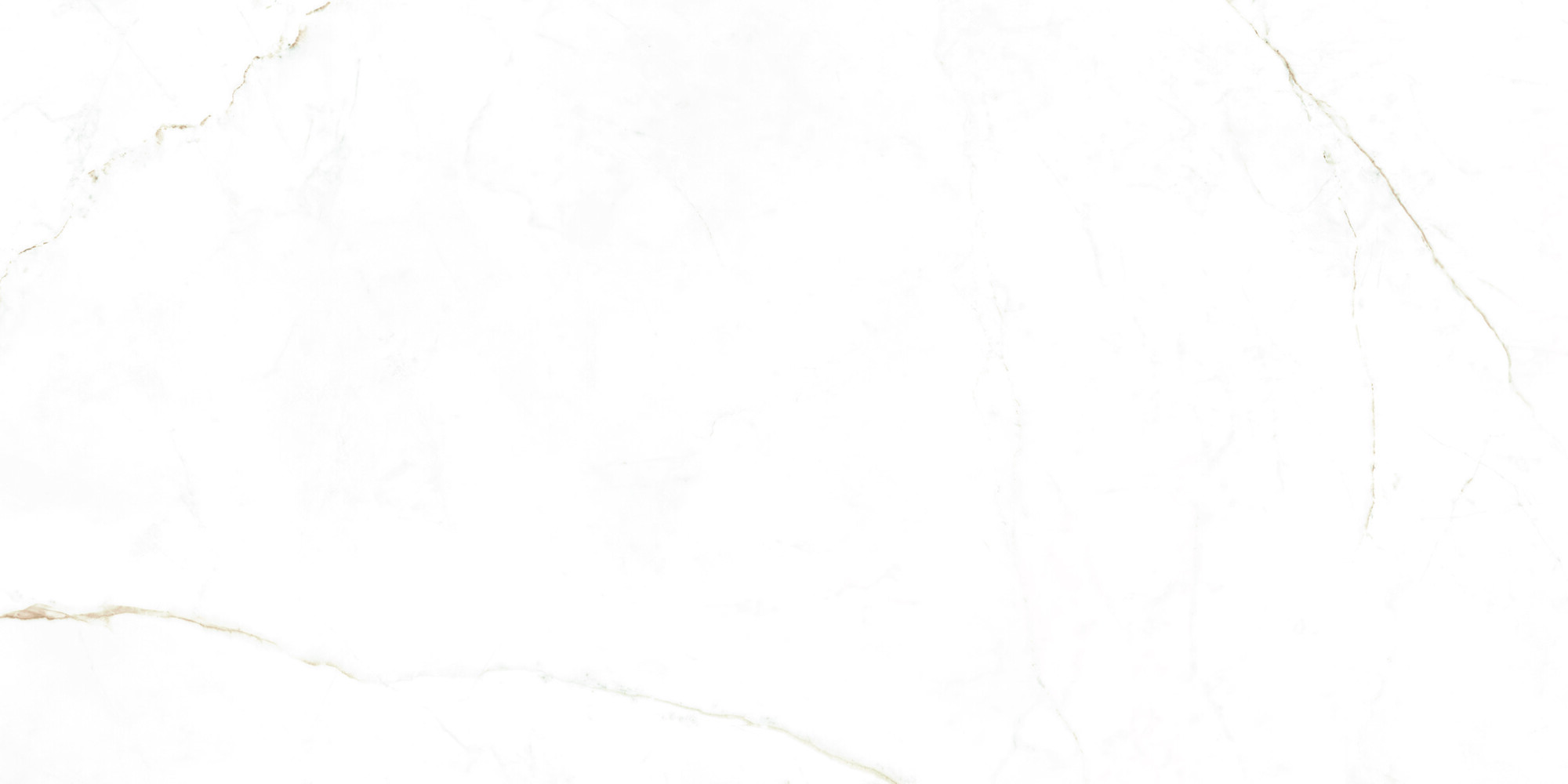 38712 Dual White NT/60X120X0,9/C/R 60x120 Peronda фото 16