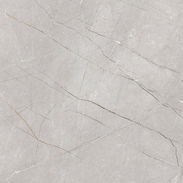 Larice Grey 60x60 Gravita