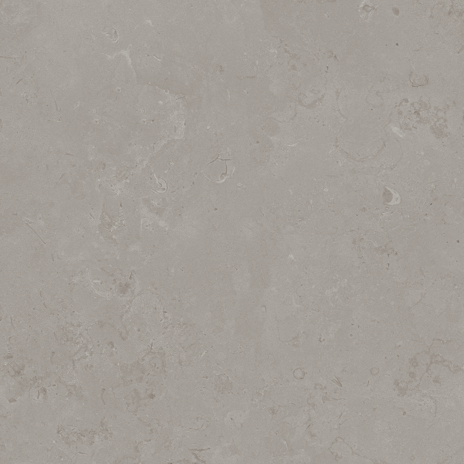 DD640900R Про Лаймстоун серый натуральный обрезной R10 60х60 Kerama Marazzi