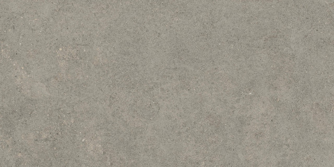 610010005821 Forte dei Marmi Rock Lunar Grey Matt Rett 60x120 Atlas Concorde Russia