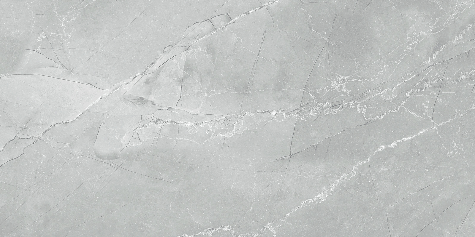 60120AMB15P Armani Marble Gray 60x120 LCM