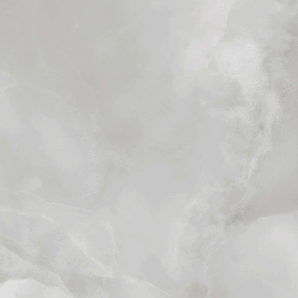 PR145 Vilema Grey Polished 60x60 PrimaVera