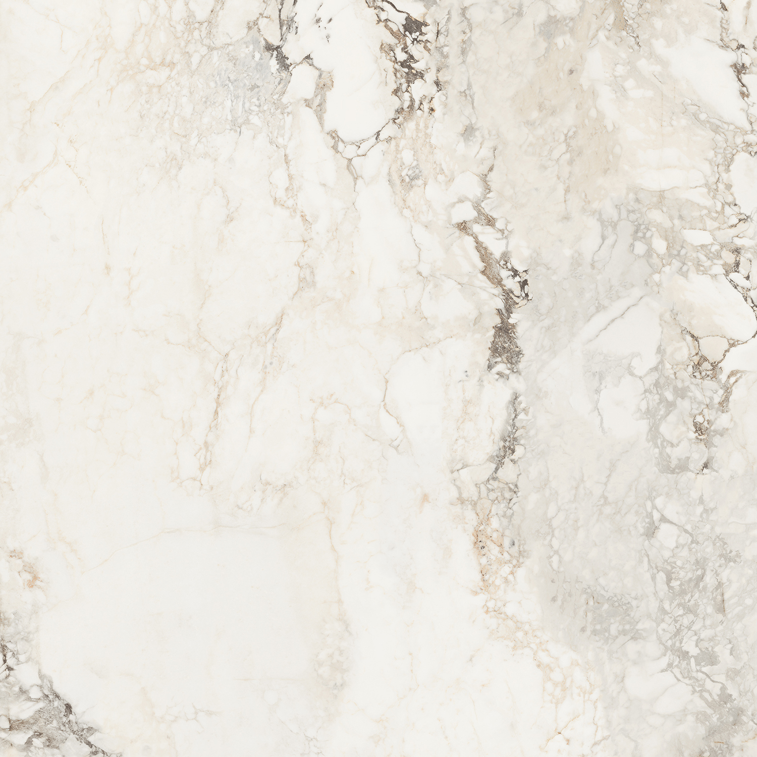 Brecha Crema Elegance Polished 120х120 StaroSlabs