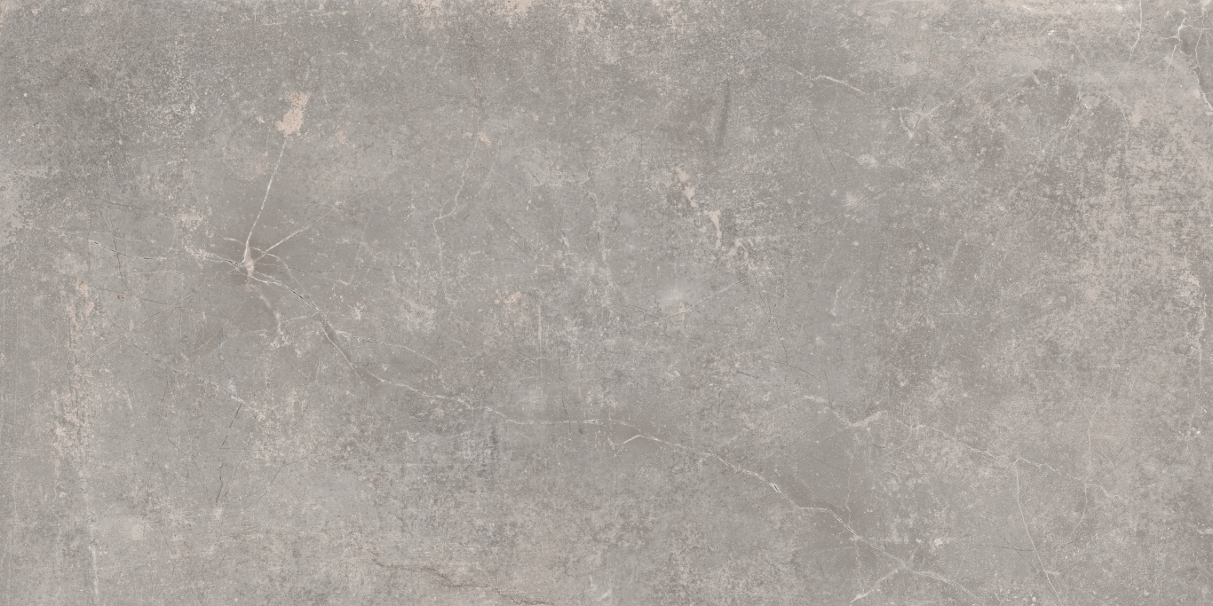 Concept Gray 60x120 Baldocer