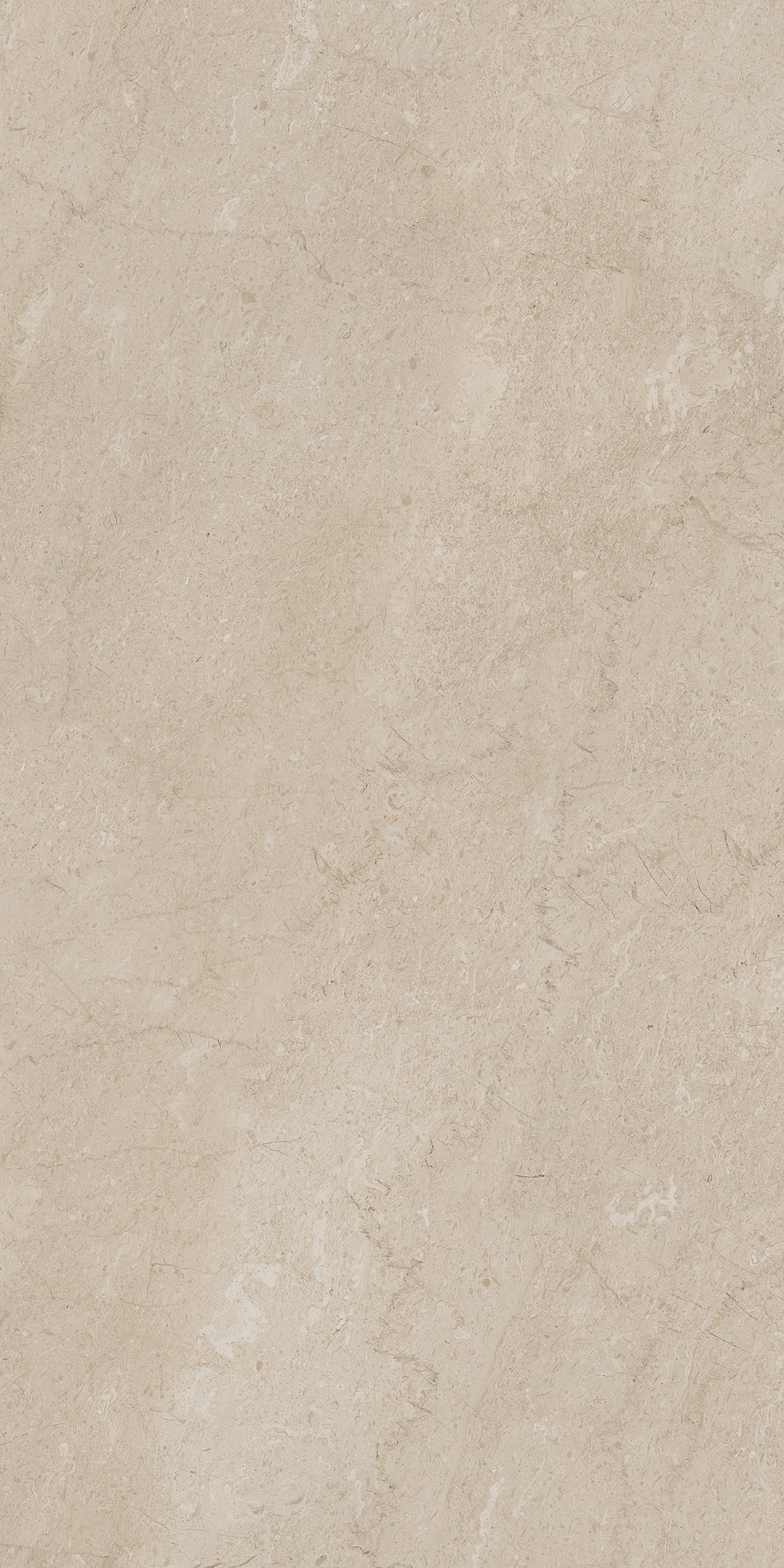 AEM01 Элемента Бежевый Неполированный Рект 60x120x9 Ametis by Estima фото 7