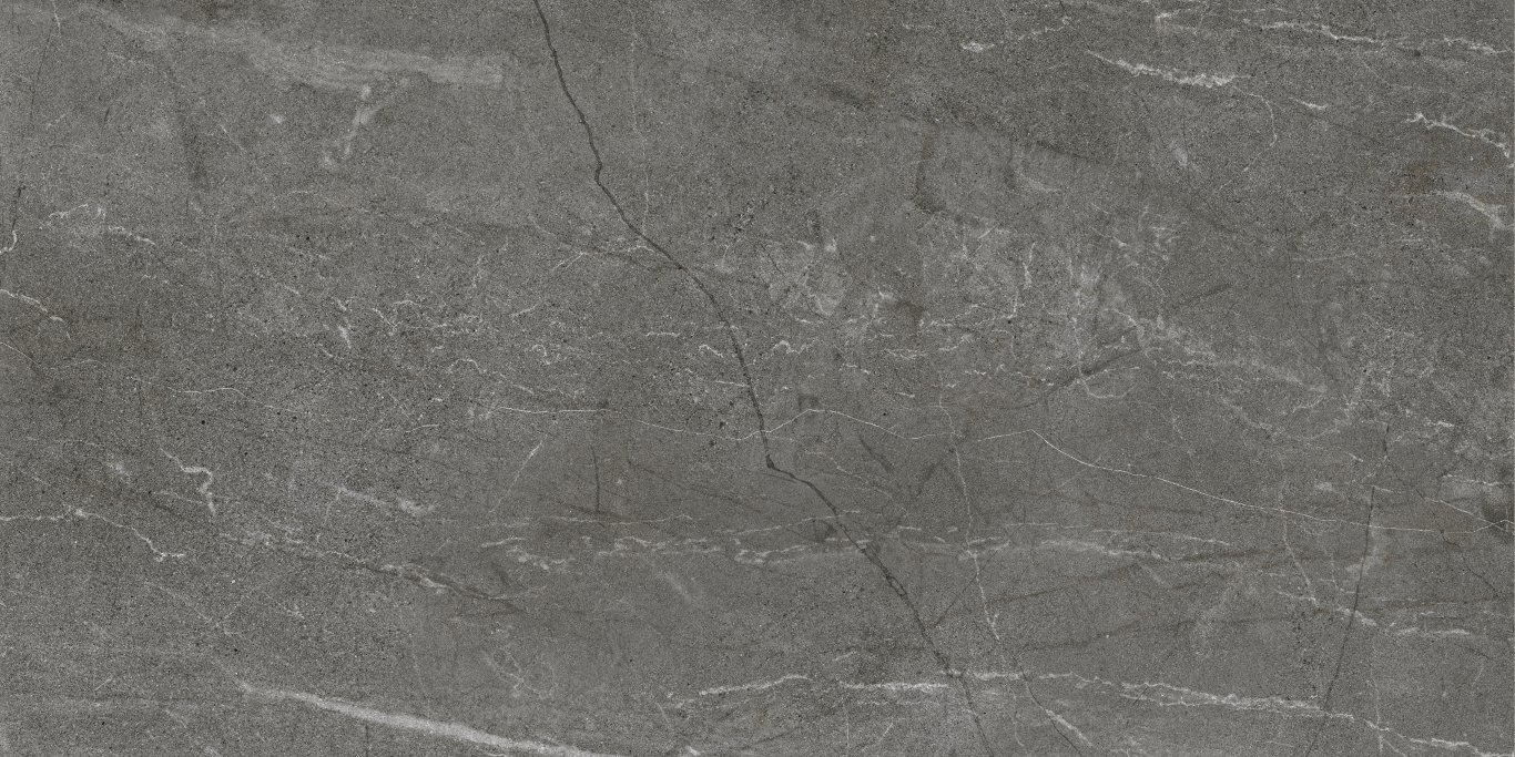 Greystone Dark Polished Rectificado 60x120 Baldocer