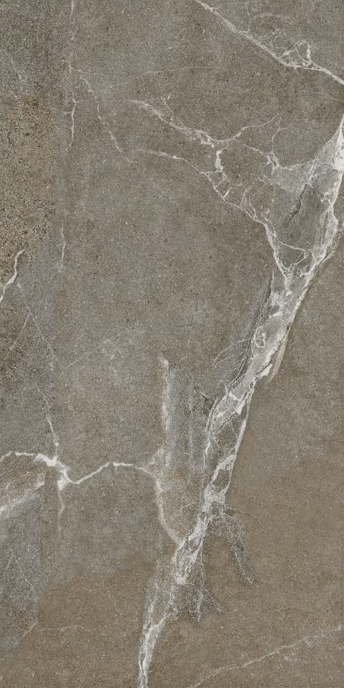 6493-0146 Гроза бежево-коричневый 60х120 Lasselsberger фото 7