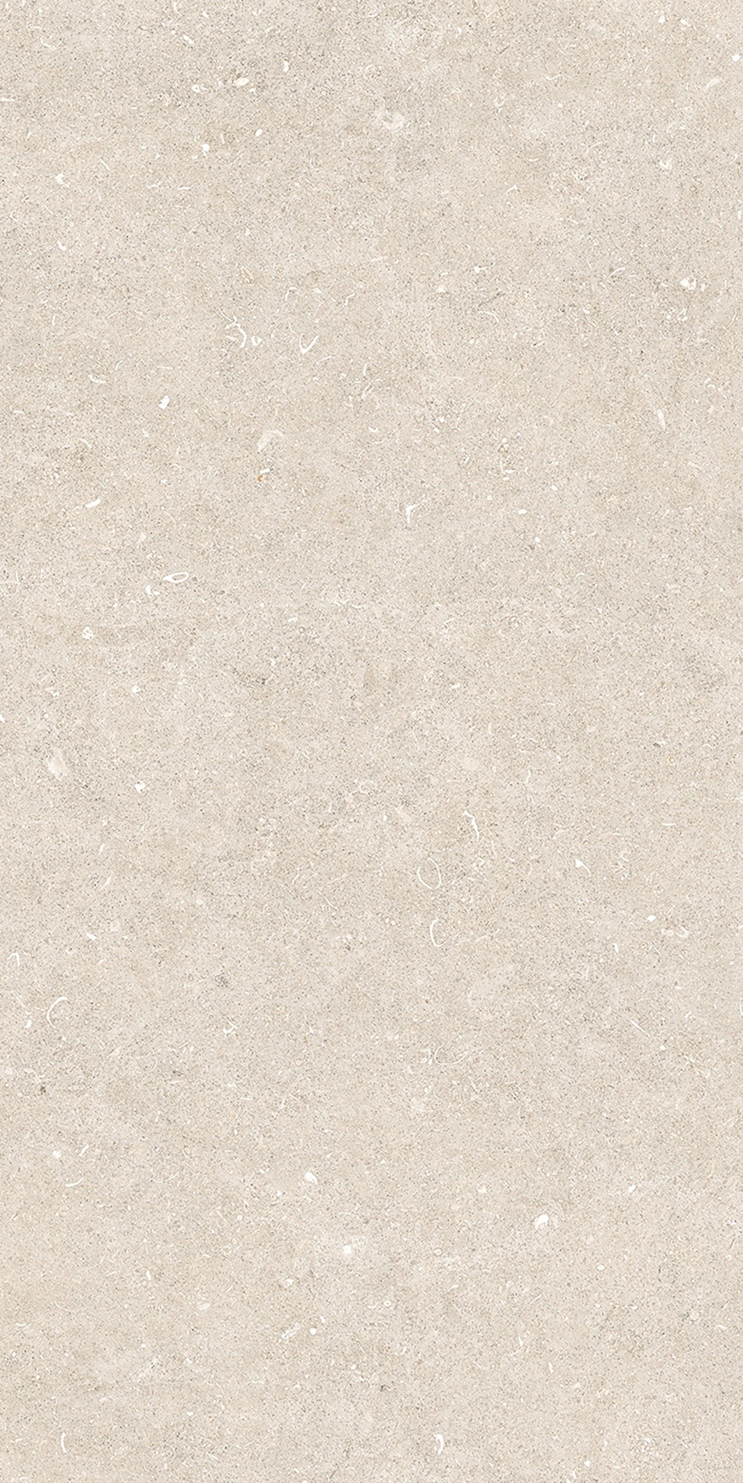 785574 Rinascenza Arena Bianco Antico Matte 6mm 60x120 Casa Dolce Casa фото 8