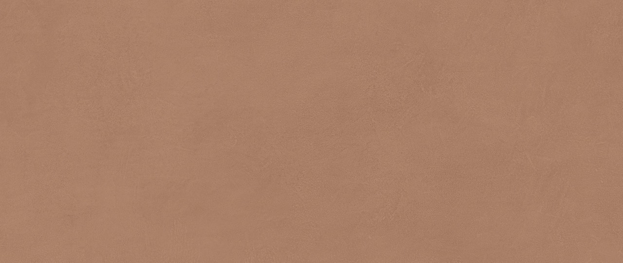 AYR9 Boost Expression Sienna Matte 50x120 Atlas Concorde
