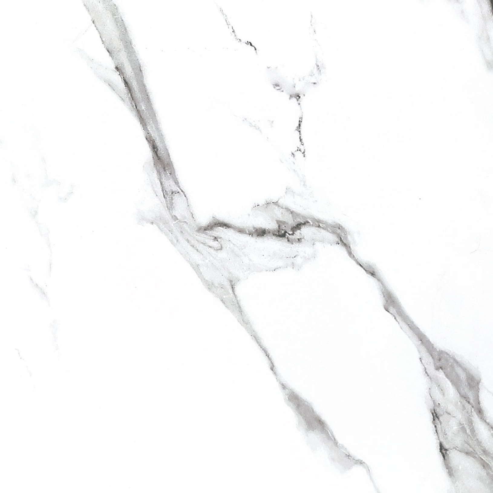 BB6NTT9100P Bright And Shiny 60x60 NT Ceramic фото 2