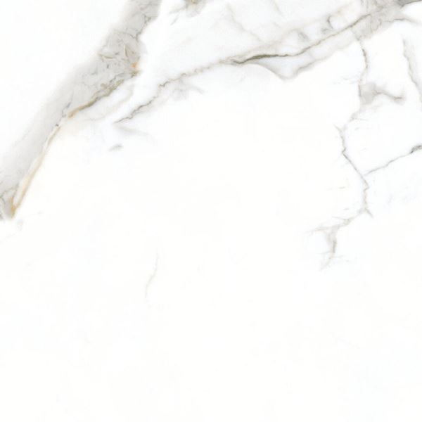 Alaska White 60x60 Gravita