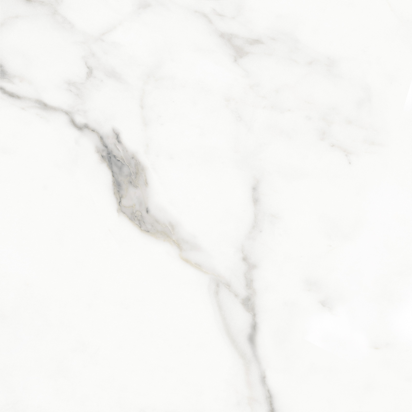 6060CLL15 Calacatta Lincoln Sugar 600x600x9.5 Delacora