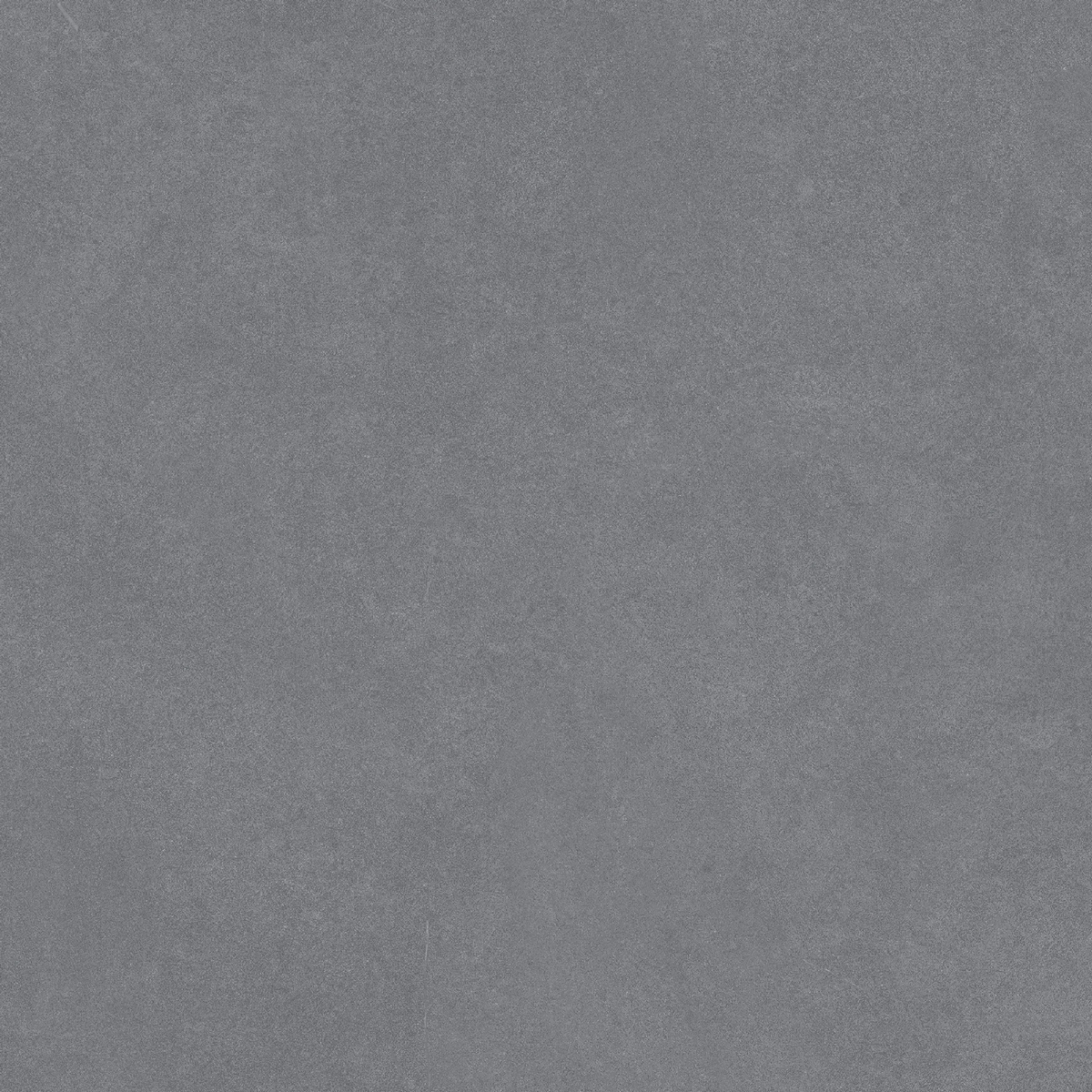 N100008 Levels Dimgrey Matt 20x20 Neodom