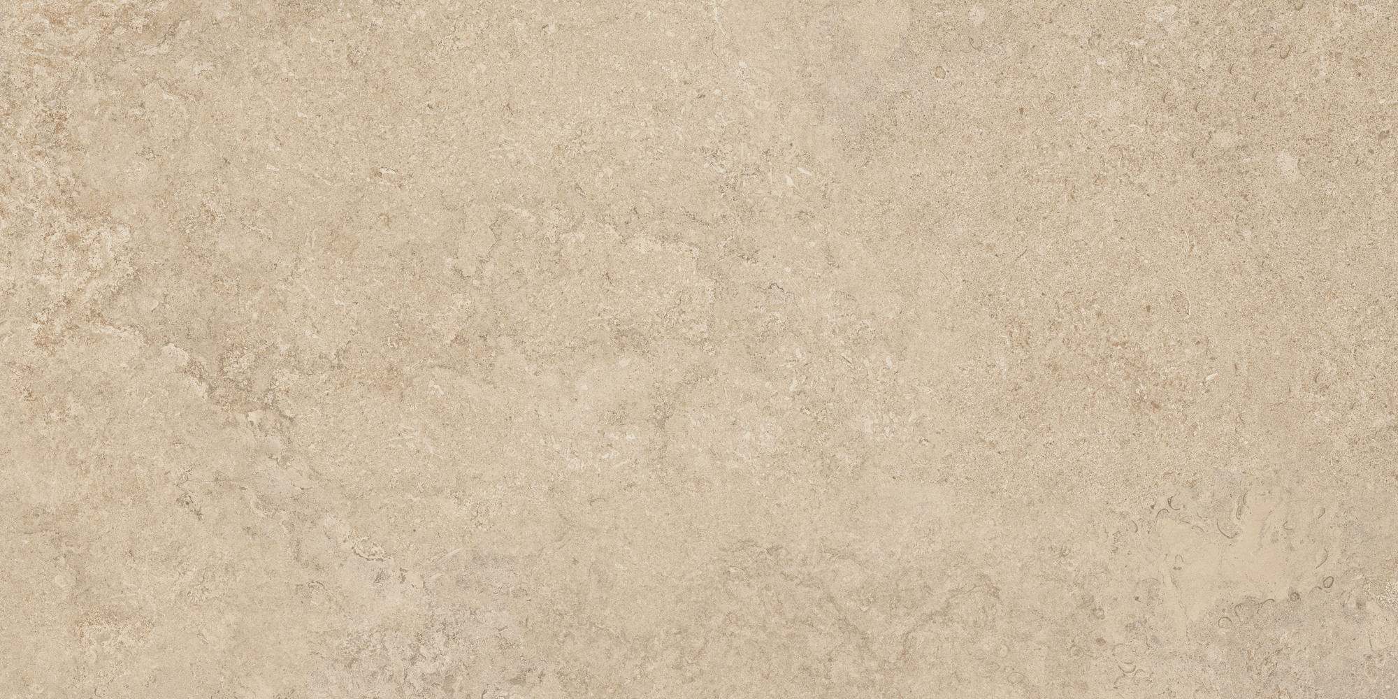 Dorset Sand Rec. 60x120 TAU Ceramica фото 10